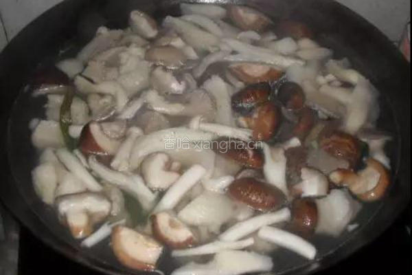 好吃的菌菇汤的做法图解3