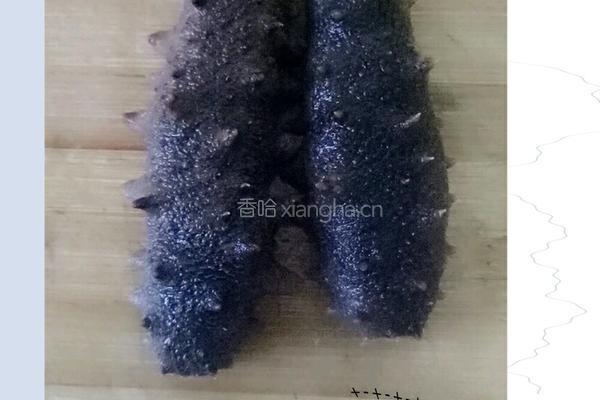 葱爆海参的做法图解1