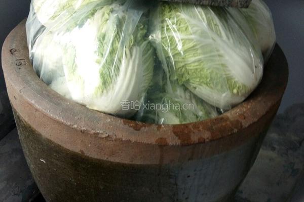 东北腌酸菜的做法的做法图解11