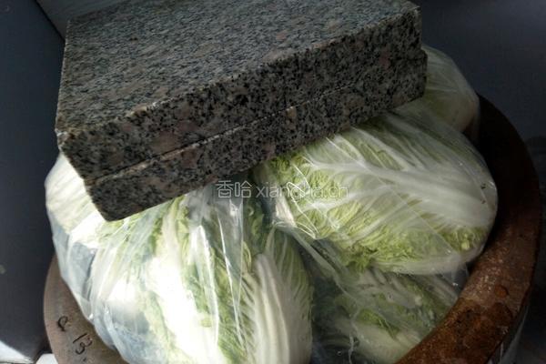 东北腌酸菜的做法的做法图解14