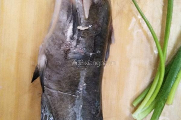 黄骨鱼嫩汤的做法图解1
