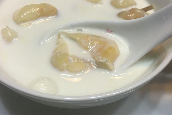花胶炖奶的做法图解4