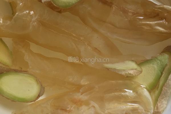 花胶炖奶的做法图解2