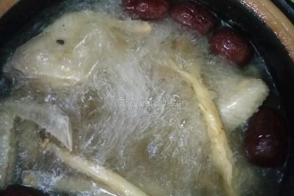 乳鸽汤的做法图解4
