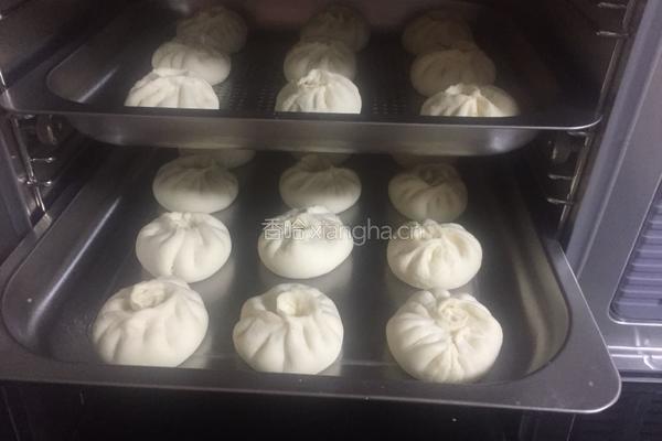 萝卜丝肉馅包子的做法图解33