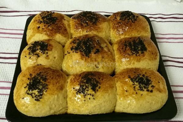 Whole Wheat Bread 全麦面包