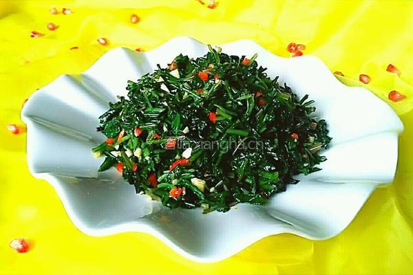 凉拌蒲公英的做法图解10