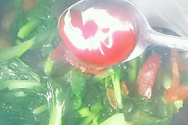腊肉炒小白菜的做法图解7