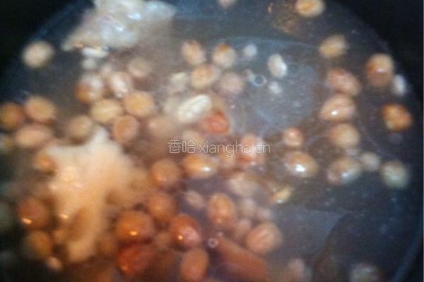 莲藕酱炖排骨的做法图解4