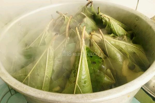 苦荞粑的做法图解4