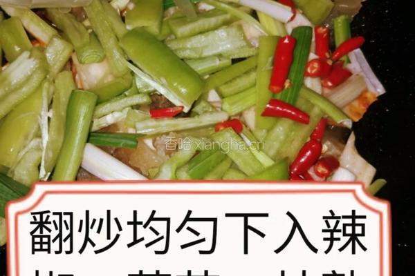 湘味小炒肉的做法图解9