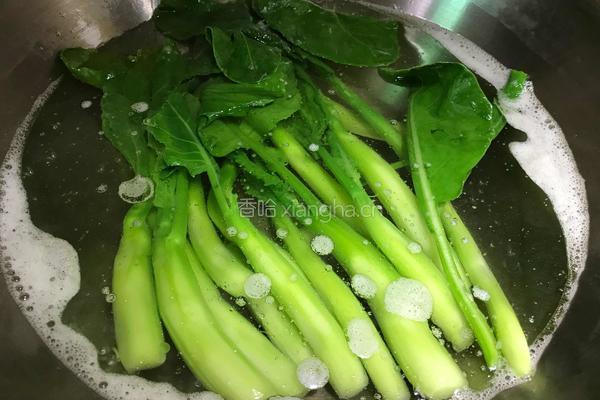 蒜茸芥兰的做法图解6