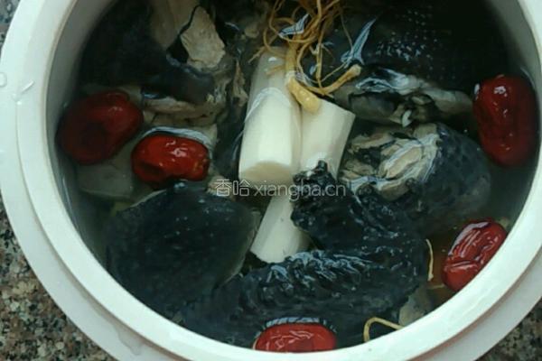 花旗参炖乌鸡的做法图解6