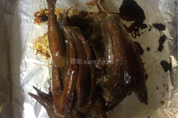 酱烤鸽的做法图解29