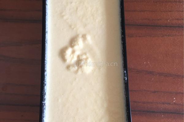 德运奶粉做冰淇淋，无需奶油的做法图解7