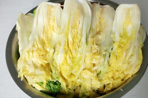 家庭版辣白菜的做法图解2