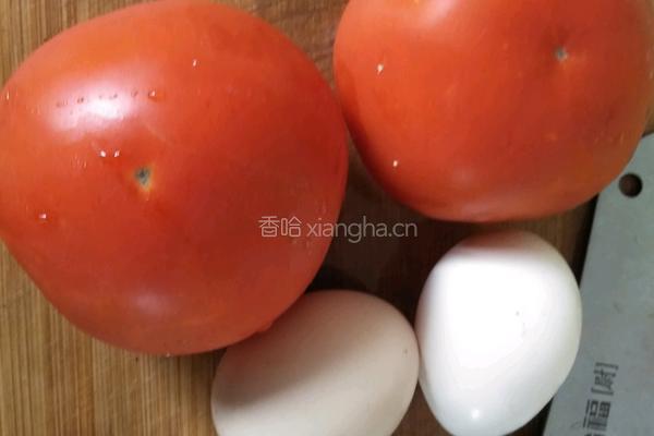 西红柿鸡蛋汤的做法图解1