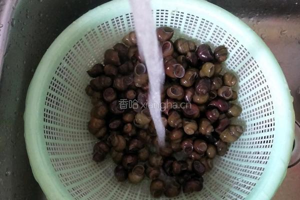 紫苏炒田螺的做法图解2