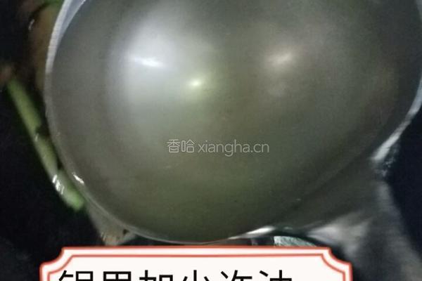 东坡肉的做法图解4