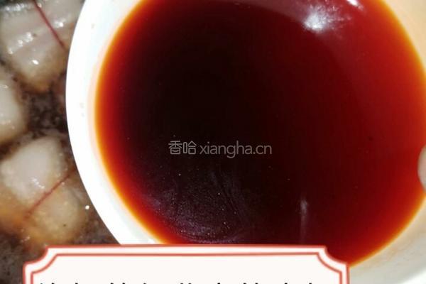 东坡肉的做法图解10