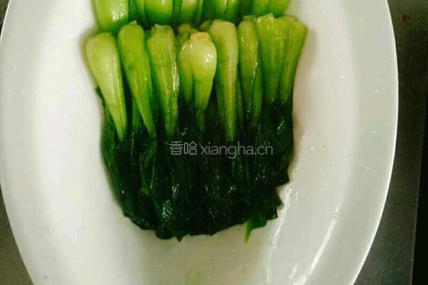 香菇菜心的做法图解3
