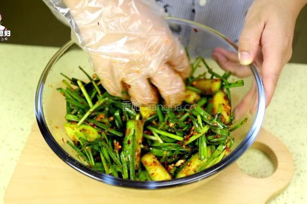 黄瓜韭菜泡菜的做法图解12