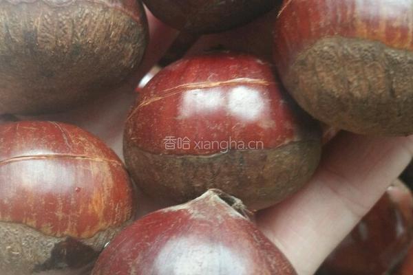 糖炒栗子的做法图解4