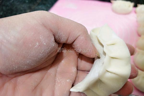 韭菜虾仁饺子的做法图解20