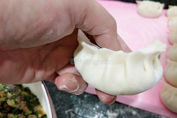 韭菜虾仁饺子的做法图解21