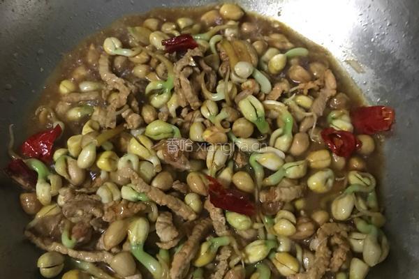 花生芽炒肉丝的做法图解9