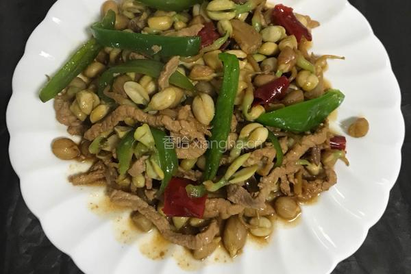 花生芽炒肉丝的做法图解11