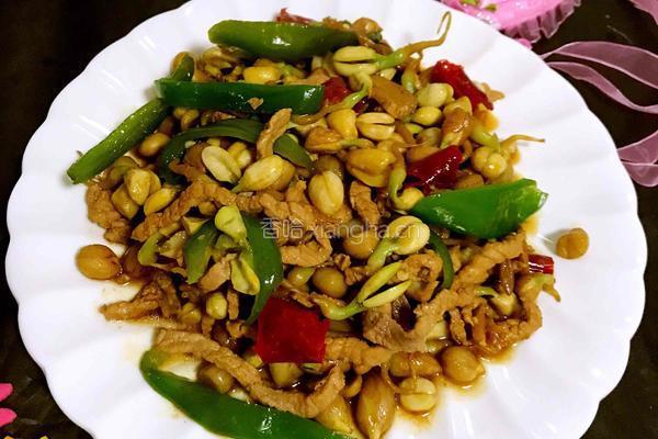 花生芽炒肉丝的做法图解13