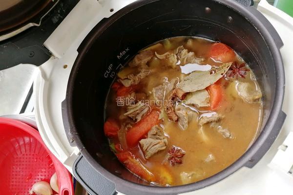 番茄土豆炖牛腩的做法图解5