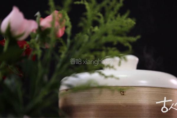 经久不衰的红楼养生大菜 —— 滋阴暖胃的酒酿蒸鸭的做法图解5