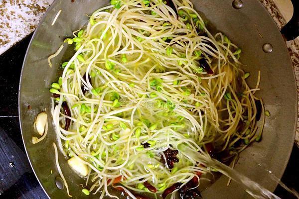 豆泡烧豆芽的做法图解7