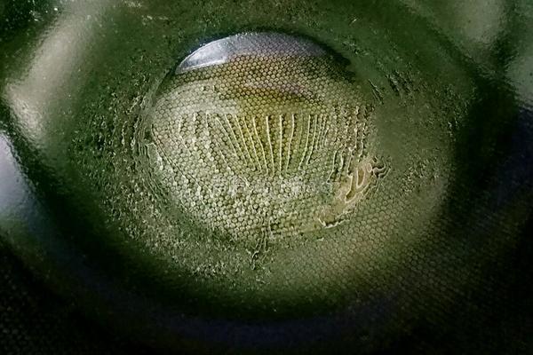 缠丝手撕饼的做法图解23
