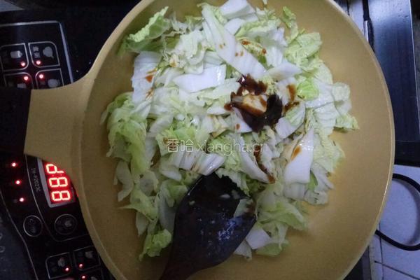 辣炒大白菜的做法图解4
