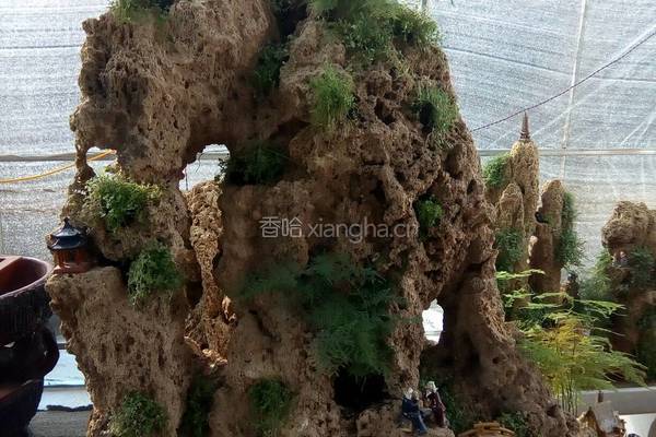 黄氏焗饭的做法图解5