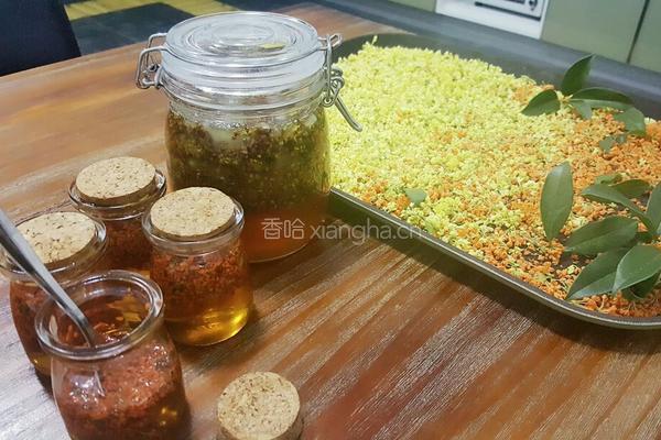 桂花蜜的做法图解4