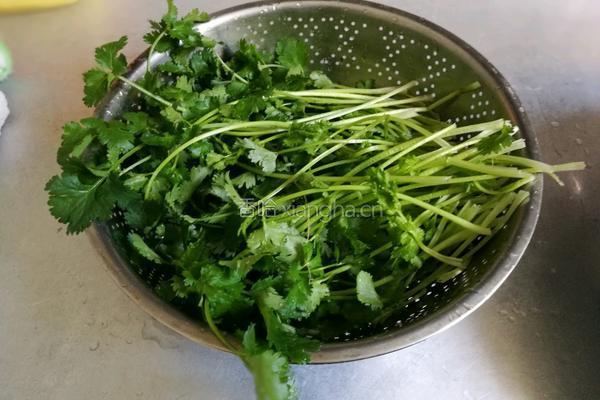 交白胡罗卜肉包的做法图解4