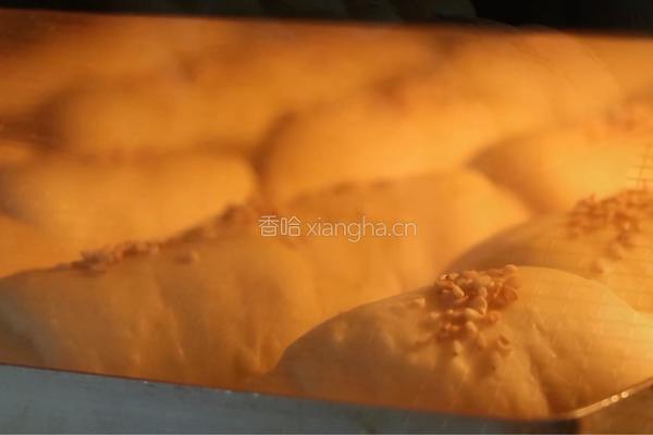 红薯餐包的做法图解17