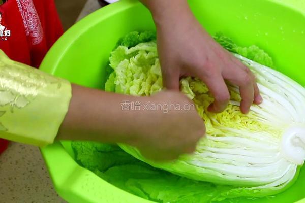 朝族媳妇教你正宗辣白菜的做法的做法图解5