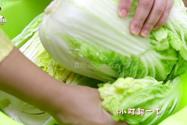 朝族媳妇教你正宗辣白菜的做法的做法图解9
