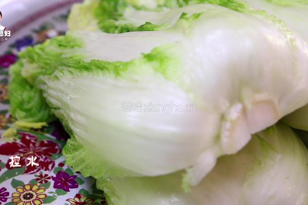 朝族媳妇教你正宗辣白菜的做法的做法图解11