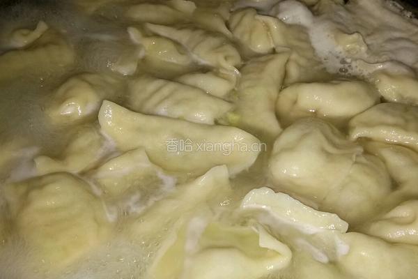 香菜肉饺子的做法图解5