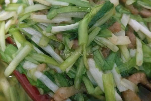 青青韭黄肉丝的做法图解3