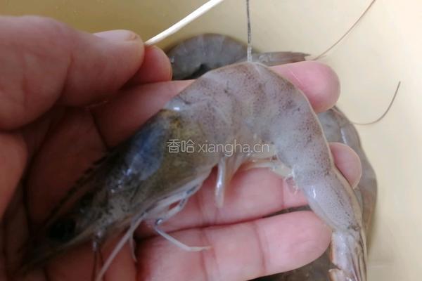 黄金虾排的做法图解2