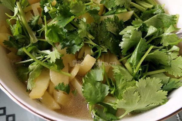 土豆香菜汤