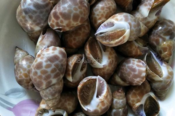 煮花螺的做法图解1