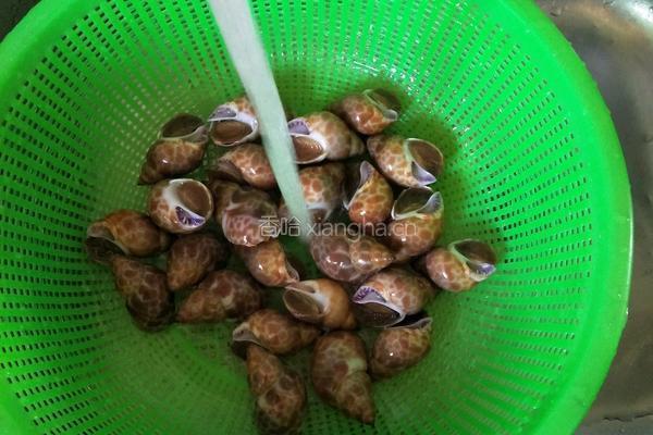 煮花螺的做法图解2